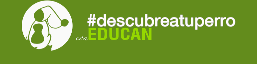Encuesta